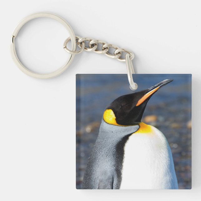 Penguin Portrait Key Ring (Front)