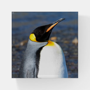 Penguin Portrait Paperweight