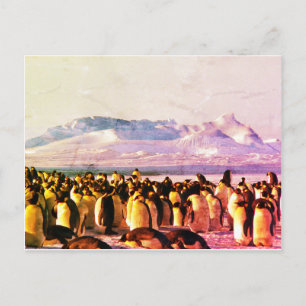 PENGUIN POSTCARD Holiday Postcard