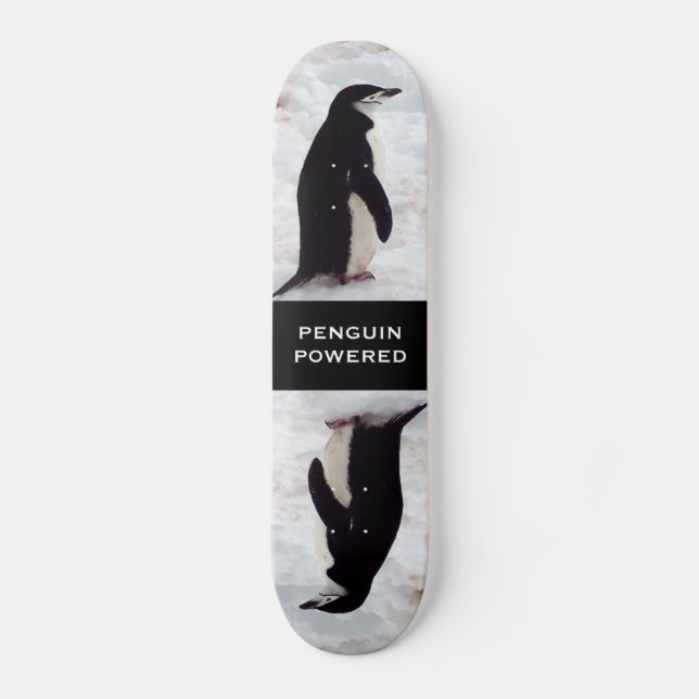 Penguin Powered Skateboard (Front)