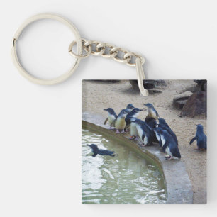 Penguin Relay: Penguin Flock Swim Team, Key Ring
