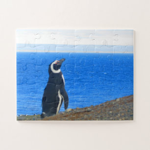 penguin solo jigsaw puzzle
