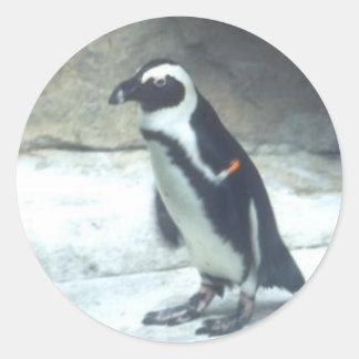Penguin Sticker
