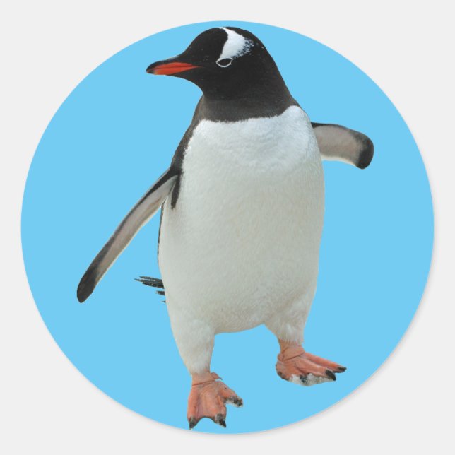 Penguin Sticker (Front)