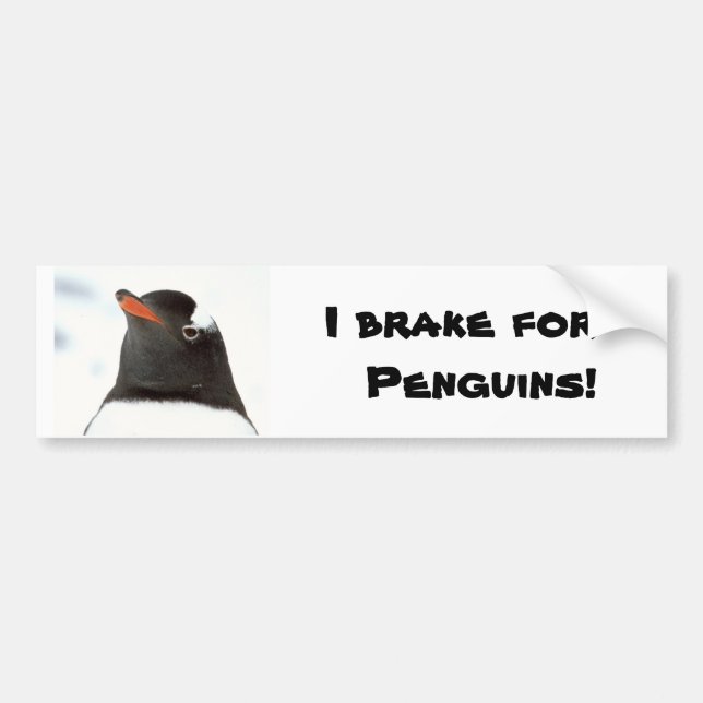 Penguin-tastic Bumper Sticker (Front)
