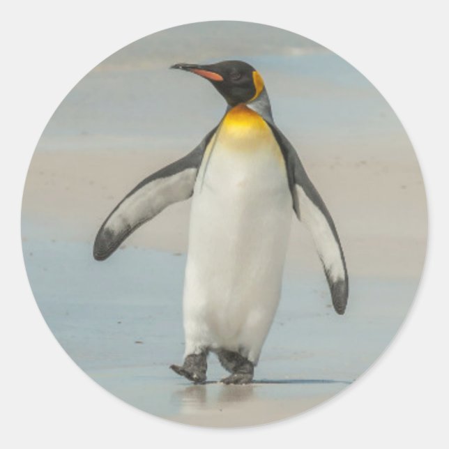 Penguin walking on the beach classic round sticker (Front)