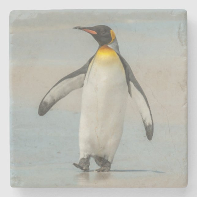 Penguin walking on the beach stone coaster (Front)