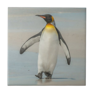 Penguin walking on the beach tile