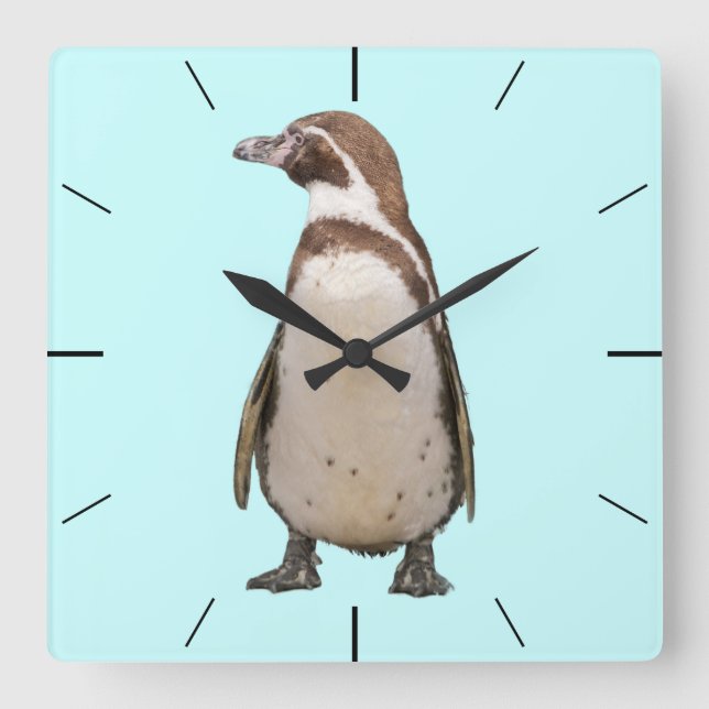 Penguin Wall Clock (Front)