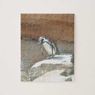 Penguin, Wildlife, Animal, Wild Bird, Zoo, Summer Jigsaw Puzzle