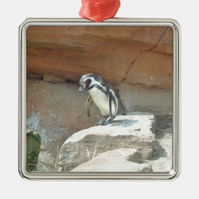 Penguin, Wildlife, Animal, Wild Bird, Zoo, Summer Metal Tree Decoration (Front)