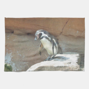 Penguin, Wildlife, Animal, Wild Bird, Zoo, Summer Tea Towel