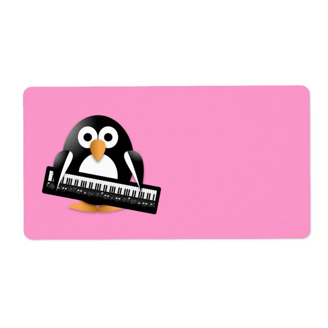 Penguin with piano keyboard (Front)