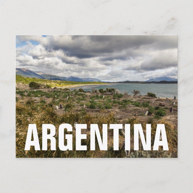 Penguinera Postcard (Front)