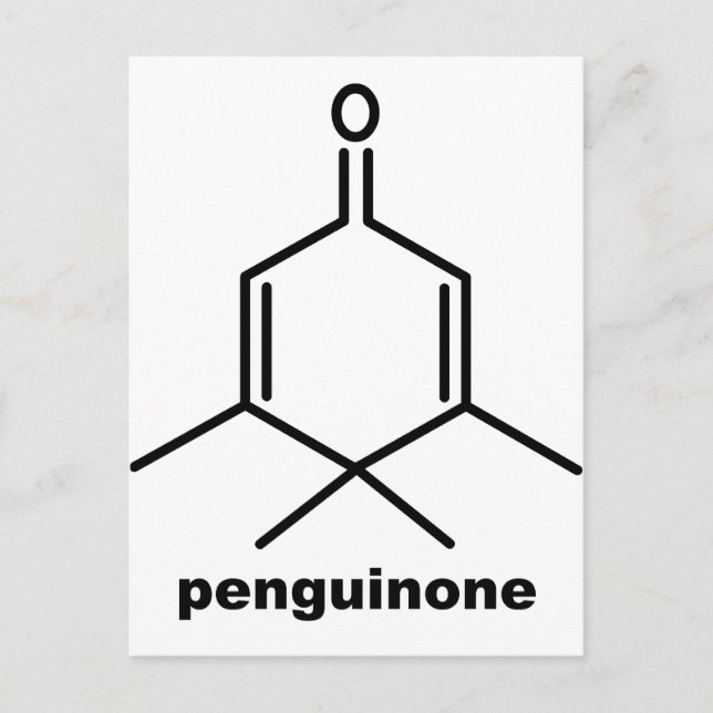 Penguinone Postcard (Front)