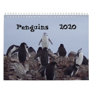 Penguins - 2020 Calendar