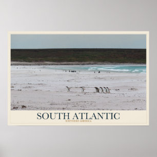 Penguins Along a Southern Shore Poster