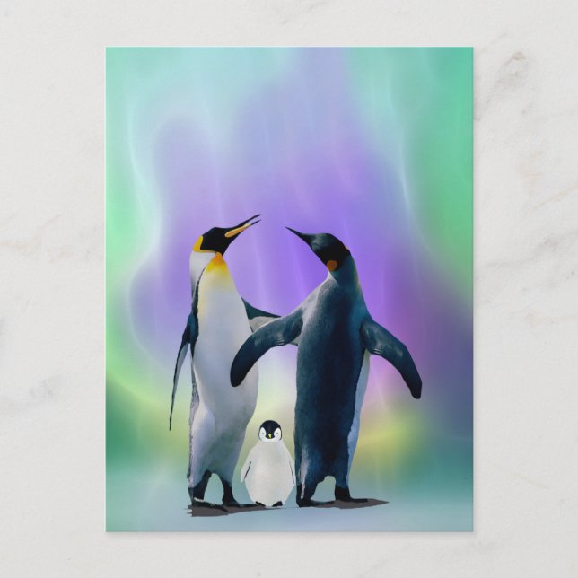 Penguins and baby in Aurora borealis Postcard (Front)
