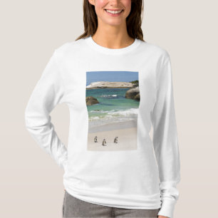 Penguins at Boulders Beach, Simons Town, South 2 T-Shirt