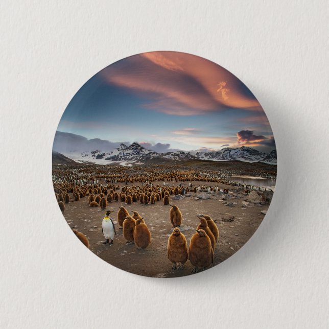 Penguins at Sunset 6 Cm Round Badge (Front)