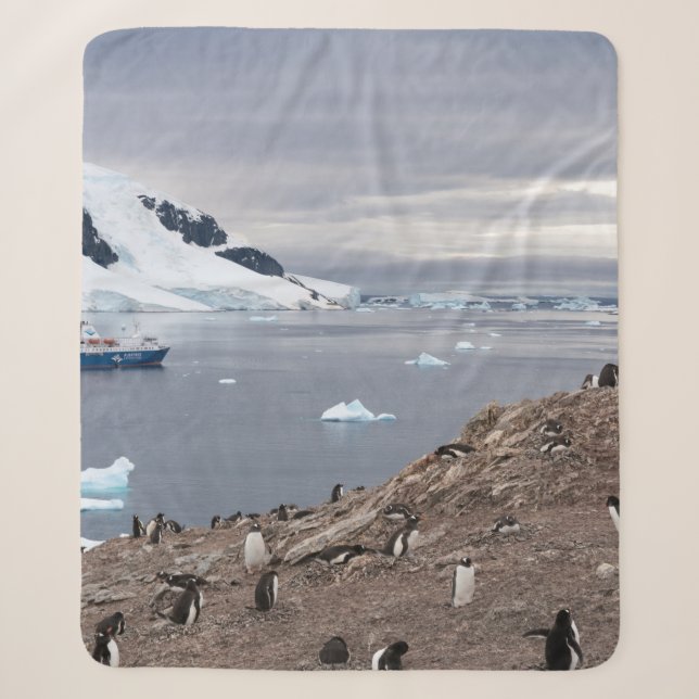 PENGUINS BESIDE SEA SHERPA BLANKET (Front)