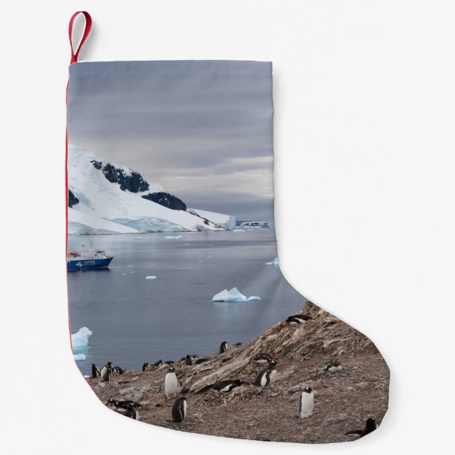 PENGUINS BESIDE SEA SMALL CHRISTMAS STOCKING (Front)