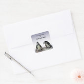 Penguins Bookplate Square Sticker (Envelope)