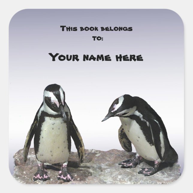 Penguins Bookplate Square Sticker (Front)