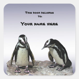 Penguins Bookplate Square Sticker