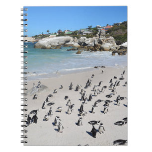 Penguins Boulders Beach   South Africa Notebook