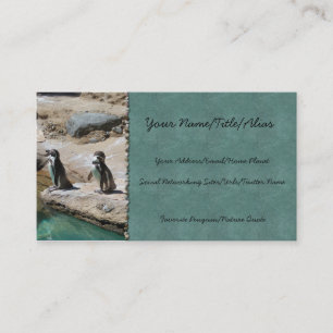 Penguins Business Card