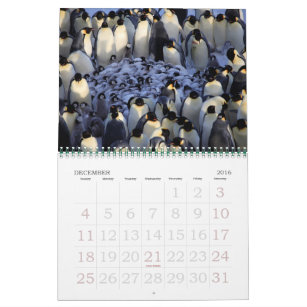 Penguins Calendar