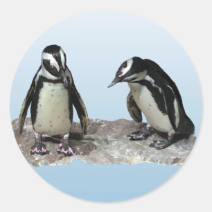 Penguins Classic Round Sticker