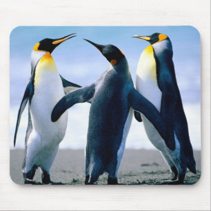 Penguins: Colourful Penguin Mousepad or Mouse Pad