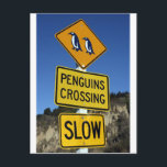 Penguins crossing yellow road sign postcard<br><div class="desc">Penguins crossing yellow road sign</div>