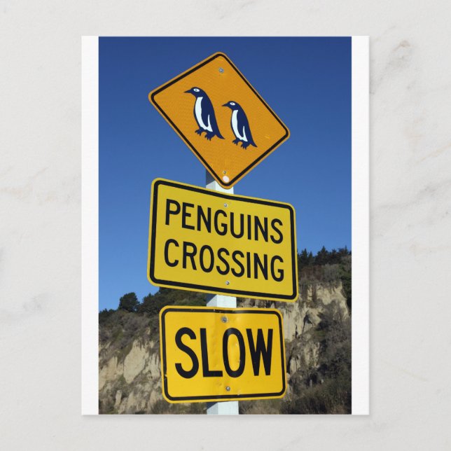 Penguins crossing yellow road sign postcard (Front)