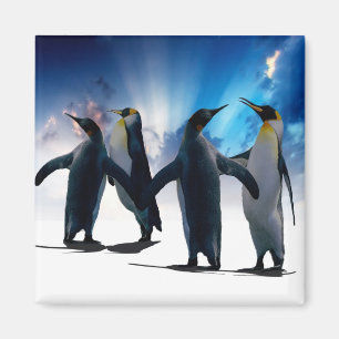 Penguins dance magnet