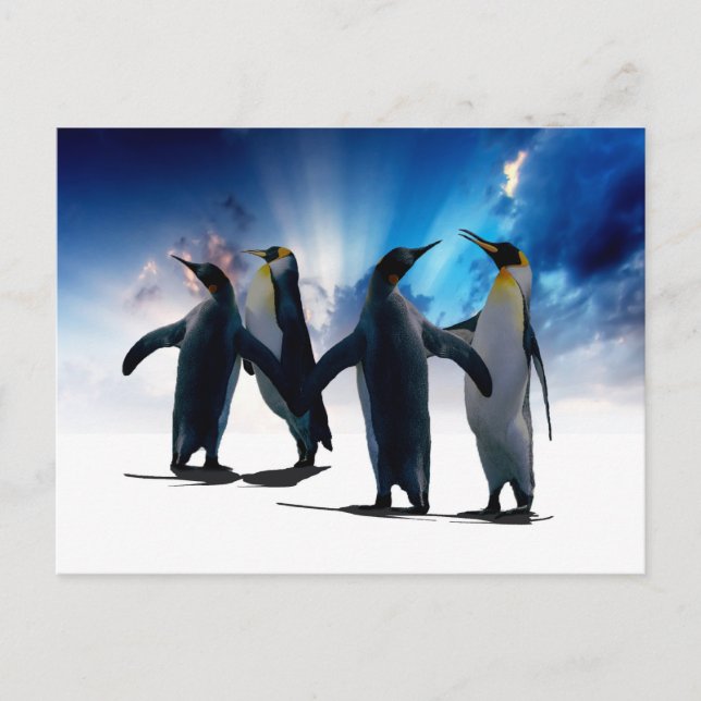 Penguins dance postcard (Front)
