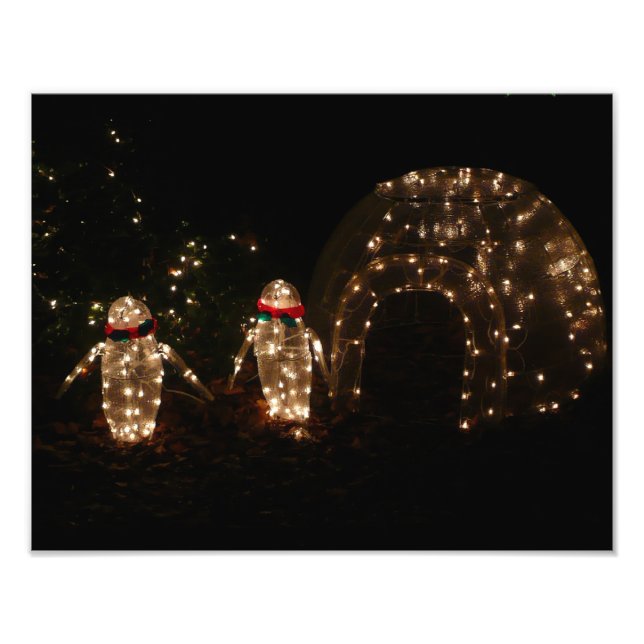 Penguins Holiday Light Display Photo Print (Front)