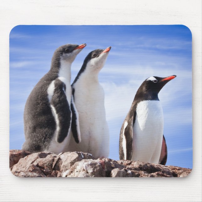 Penguins in Antarctica Mouse Pad (Front)