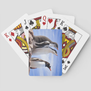 Penguins in Antarctica Playing Cards