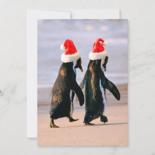 Penguins in Santa Hats on the Beach Holiday Card
