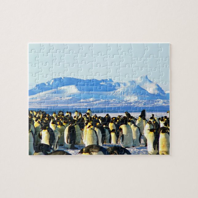 Penguins  jigsaw puzzle (Horizontal)