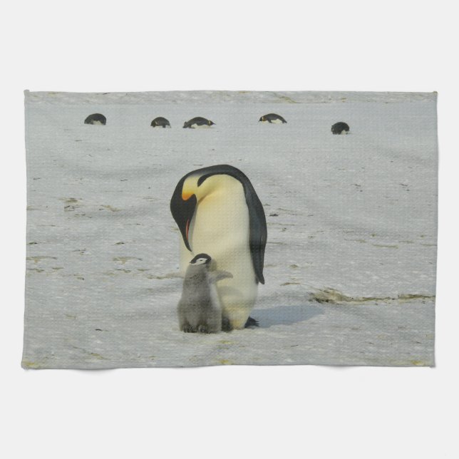 Penguins Kitchen Towels (Horizontal)