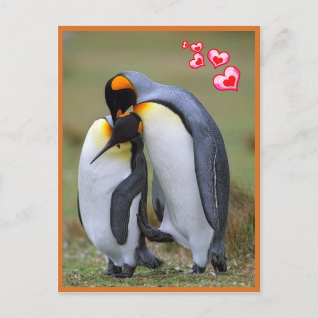 Penguins love postcard (Front)