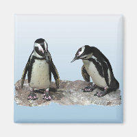 Penguins