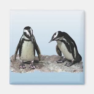 Penguins Magnet