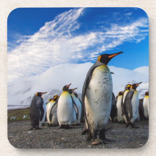 Penguins Marching Blue Sky Coaster