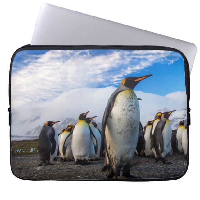 Penguins Marching Blue Sky Laptop Sleeve (Front)