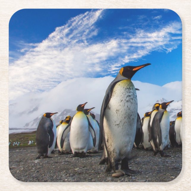 Penguins Marching Blue Sky Square Paper Coaster (Front)